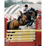 Hanoverian Sport Horses icon