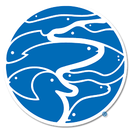 Tennessee Aquarium: Download & Review