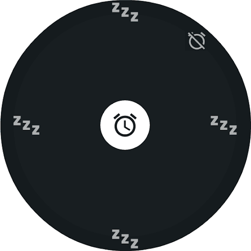 Alarm+ Pro Screen 3