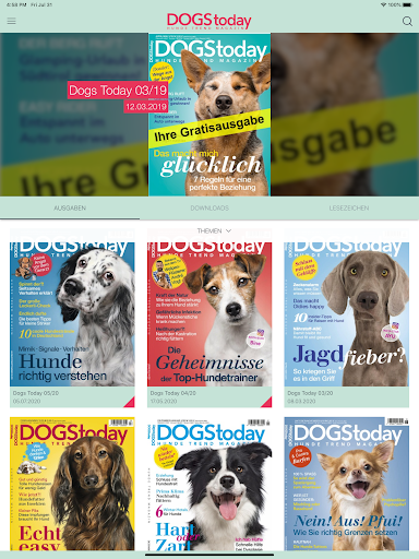 DOGStoday Screen 2