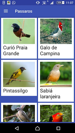 Pássaros Screenshot 3 - AppWisp.com