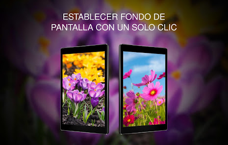 Captura de Pantalla 8 Fondos Primavera android