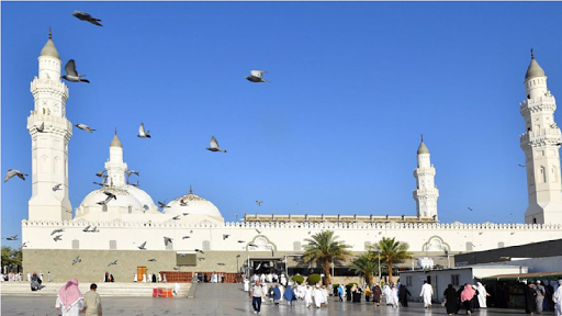 muslim pro - learning prayer Screen 2