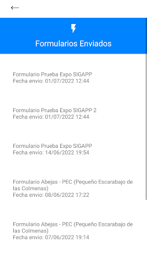 SIG-APP Formularios Screen 3