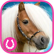 Brain games - Horse - Memory training *Gold