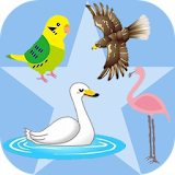 鳥ずかん　絵・写真・音声で楽しい幼児向け無料図鑑アプリ icon