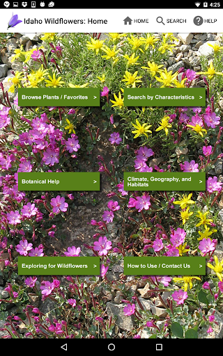 Screenshot of Idaho Wildflowers