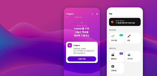 Lingora: AI English Lessons