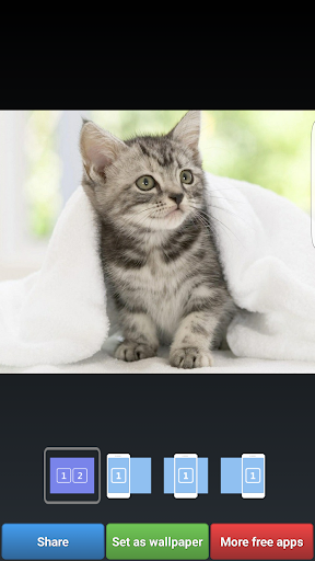 Cute Animals HD Wallpapers Screen 3