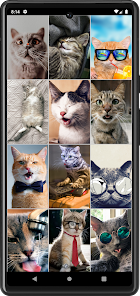 Captura 5 Fondos de Gatos Graciosos android