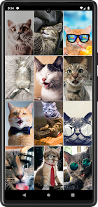 Screenshot 5 Fondos de Gatos Graciosos android
