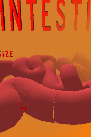 The Intestines VR Screen 3