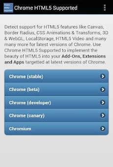 HTML5 Supported for Chrome?のおすすめ画像1