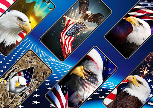 Eagle Wallpaper Screen 3