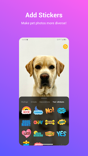 Pawsper Screen 3