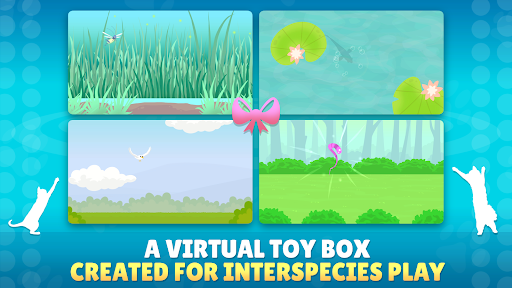 Play With Your Cat - Pet Game