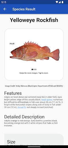 West Coast Fish ID Screen 3
