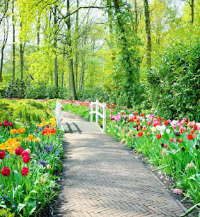 Spring Garden Wallpaper for PC / Mac / Windows  - Free Download -  