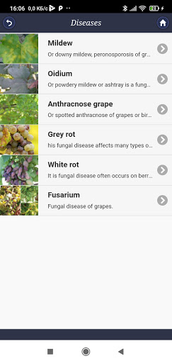Vineyard: from A to Z Screen 2