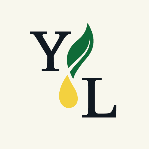 yl logo image