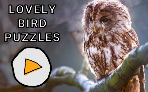 Lovely Bird Puzzles
