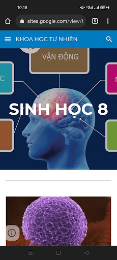 Web-Khoa Học Tự Nhiên Screen 3