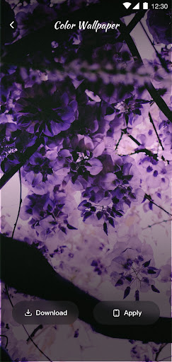 Color Wallpaper_4