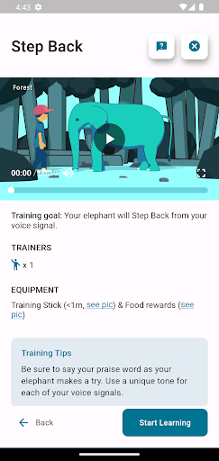 H-ELP Modern Elephant Training