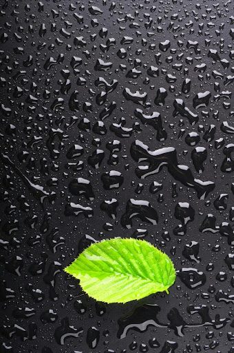 Updated 3d Wallpaper Best Hd Mobile Wallpaper Android App Download 22