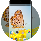 Theme for Intex Aqua Pro 4G HD icon