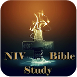 NIV Bible Study icon