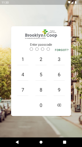 Android application Brooklyn Cooperative FCU screenshort
