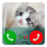 Kitty Cat Fake Call icon