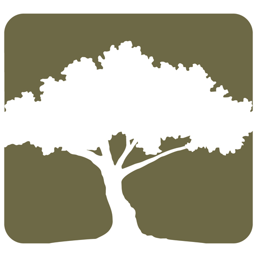 Schulz Wealth logo