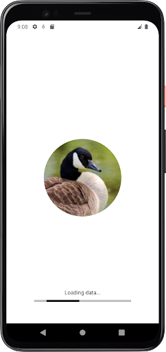 Android application Goose and Geese Sounds screenshort