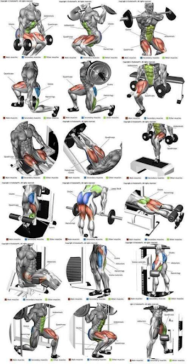 Android application Fitnees gym sport رياضة منزلية screenshort