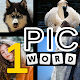 1 Pic 1 Word Picture Puzzle Guess Quiz Download on Windows