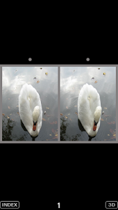 3D Popup Swan