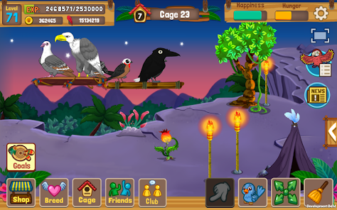 Bird Land Pet Shop Bird Games Apps on Google Play