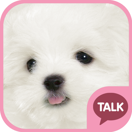 하얀 강아지 (마르티스) 카톡 테마 pink ver 9.0.0 Icon