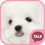 하얀 강아지 (마르티스) 카톡 테마 pink ver icon