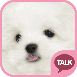 Icon image 하얀 강아지 (마르티스) 카톡 테마 pink ver