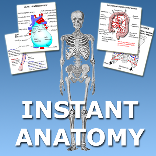 Anatomy Flash Cards 3.4 Icon