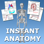 Cover Image of डाउनलोड Anatomy Flash Cards  APK