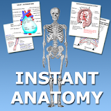 Anatomy Flash Cards icon