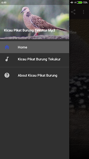 Android application Suara Pikat Burung Tekukur Mp3 screenshort