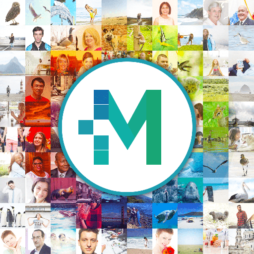 Pro Photo Mosaic Creator logo