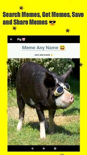 Flyloneapp: Animal Memes App Screenshot