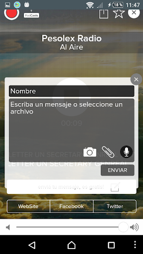 Solex Mal Radio Screen 3