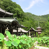 Mimurotoji Temple(JP062) icon